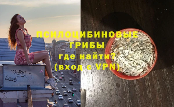 спайс Краснослободск
