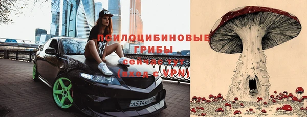 спайс Краснослободск