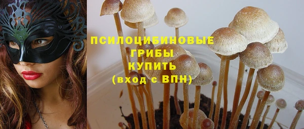 спайс Краснослободск