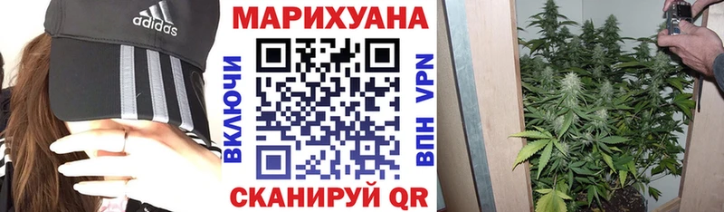 купить закладку  KRAKEN ONION  МАРИХУАНА сатива  Горячеводский 